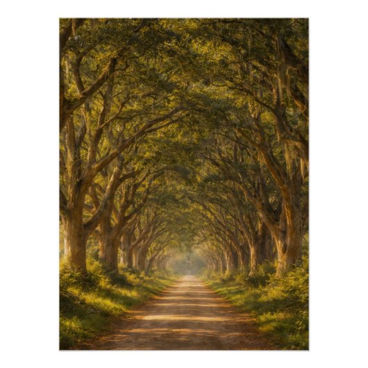 Live Oak Path | Landscape | Poster ポスター (正面)