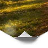 Live Oak Path | Landscape | Poster ポスター (コーナー)