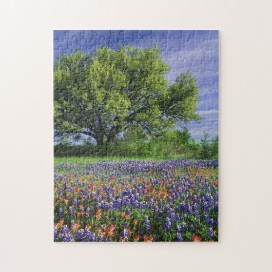 Live Oak & Texas Paintbrush, and Texas ジグソーパズル (縦)
