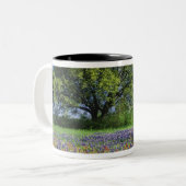 Live Oak & Texas Paintbrush, and Texas ツートーンマグカップ (正面左)