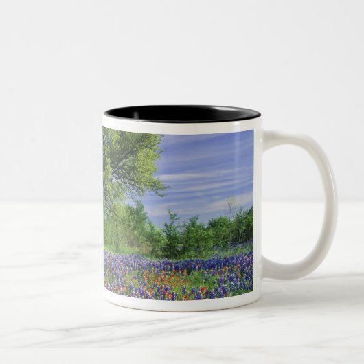 Live Oak & Texas Paintbrush, and Texas ツートーンマグカップ (右)