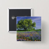 Live Oak & Texas Paintbrush, and Texas 缶バッジ (正面&裏面)