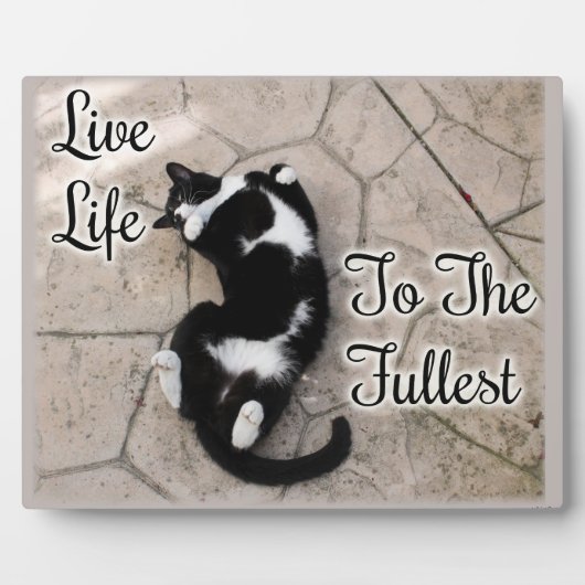 Live To Full Catスローガンやる気を起こさせる引用文 フォトプラーク (正面)