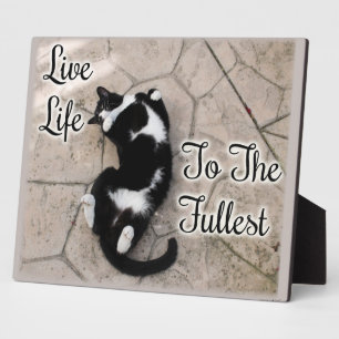 Live To Full Catスローガンやる気を起こさせる引用文 フォトプラーク