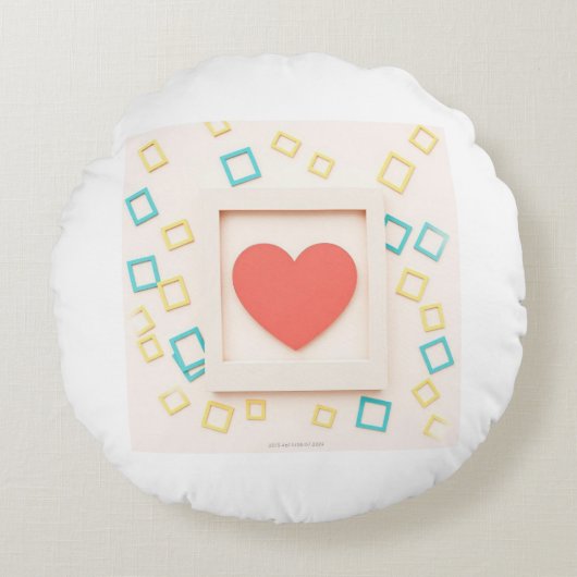 Lively Snapshot Joy ラウンドクッション (正面)