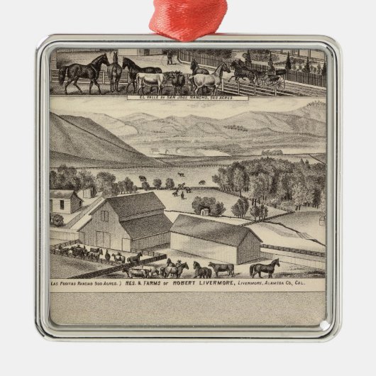 LivermoreのBardelliniの住宅、農場、ホテル メタルオーナメント (正面)