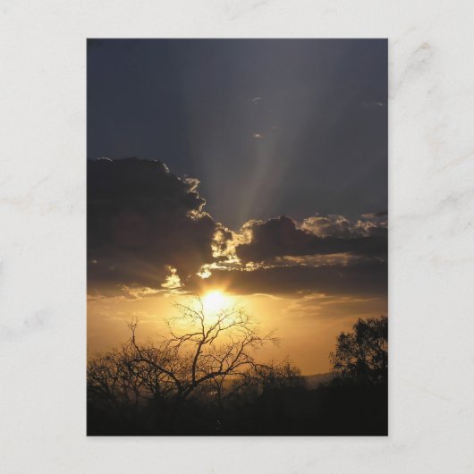 Living Art Viewsはがき ポストカード (正面)