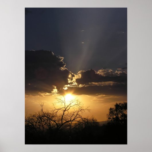 Living Art Viewsポスター ポスター (正面)