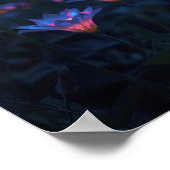 Living Lanterns ポスター (角)