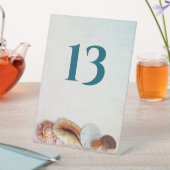 Living Seas Seashellsテーブル番号 台座サイン (インサイチュ)