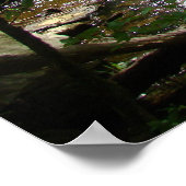 Living Water IIポスター ポスター (角)