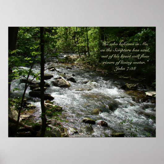 Living Water IIポスター ポスター (正面)