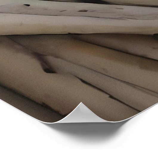 Living Woods ポスター (角)