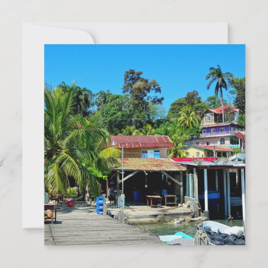 Livingston's Caribbean Charm (裏面)