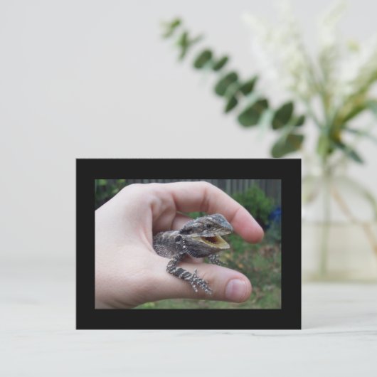 lizard氏 ポストカード (スタンド正面)