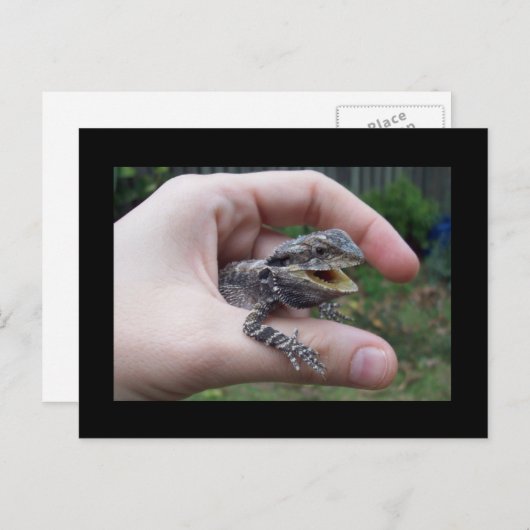 lizard氏 ポストカード (正面/裏面)