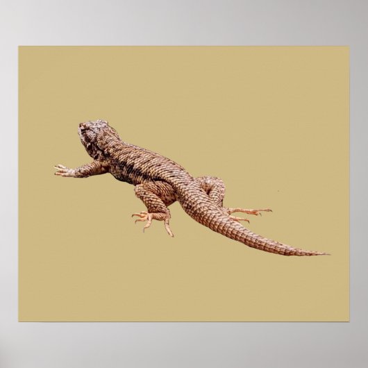 Lizard ポスター (正面)