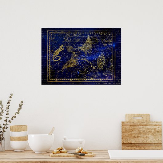 lizard and swan constellation poster ポスター (キッチン)