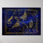 lizard and swan constellation poster ポスター (正面)