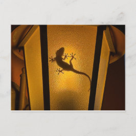 Lizard Artistic Illustration ポストカード