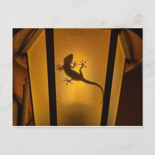 Lizard Artistic Illustration ポストカード (正面)