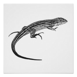 Lizard Monochrome Print ポスター