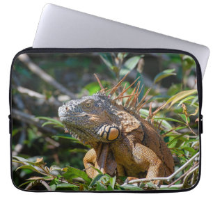 Lizard Photography, Orange Iguana ラップトップスリーブ