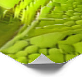 Lizard Skinned Abstract ポスター (角)