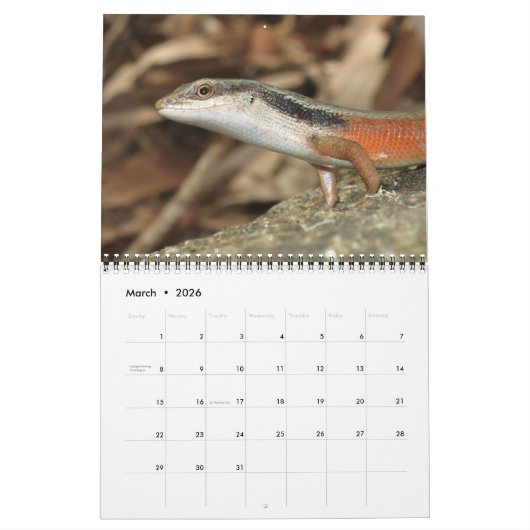 Lizards Wall Calendar by J.W. Fathree. カレンダー (3月 2026)
