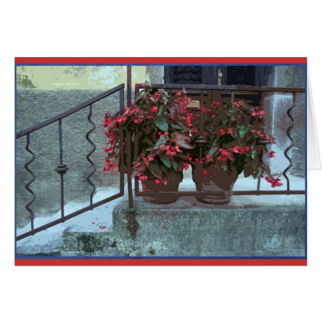 Ljubjlanaのベゴニア (正面横)