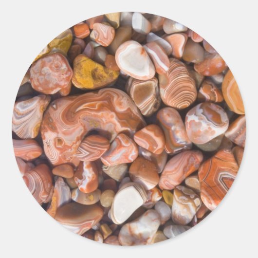 lksuagesの複数形 ラウンドシール (正面)