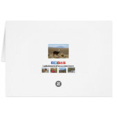 Llama at Ilylmani Snow Mountain Boliviaノートカード (裏面横)