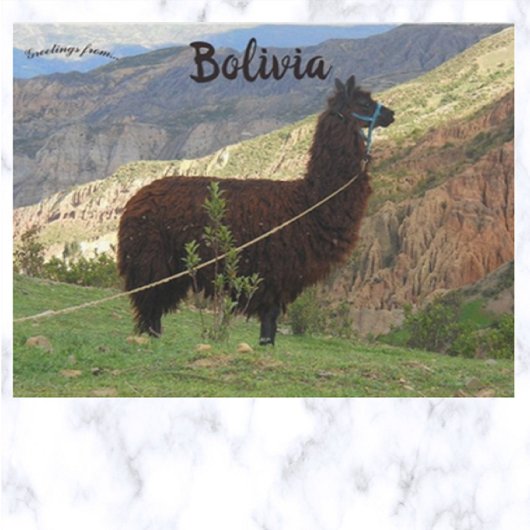 Llama at the Valley of the Souls Bolivia ポストカード