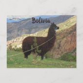 Llama at the Valley of the Souls Bolivia ポストカード (正面)