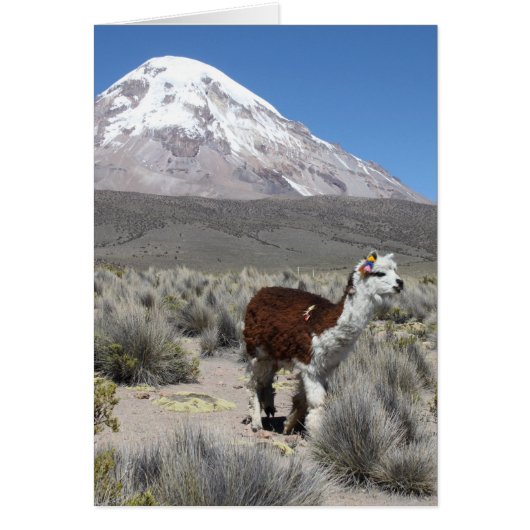 Llama by Snow Sajama Mountain, Boliviaノートカード (正面)