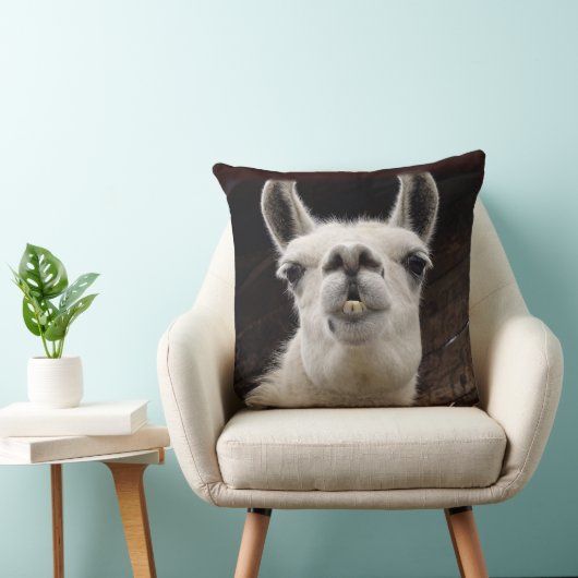 Llama Drama – Ich hab dich im Blick クッション (椅子)