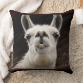 Llama Drama – Ich hab dich im Blick クッション (ブランケット)