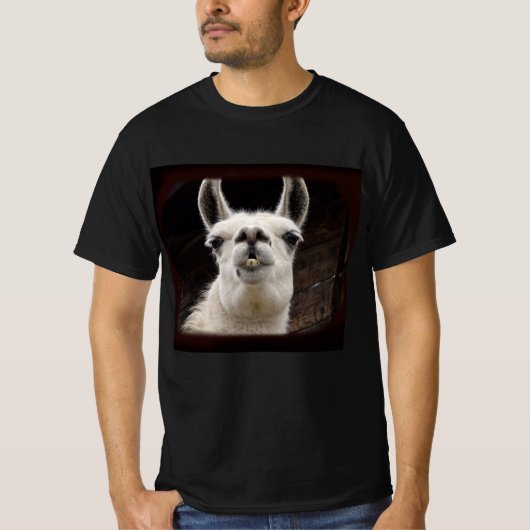 Llama Drama – Ich hab dich im Blick Tシャツ (正面)