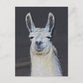 Llama Face Animal Art Personalized ポストカード (正面)