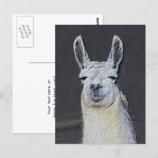 Llama Face Animal Art Personalized ポストカード (正面/裏面)