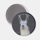 Llama Face Animal Art Personalized マグネット (正面/裏面)