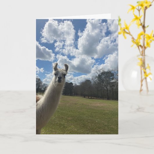 llama greeting card (hello inside) カード (黄色い花)