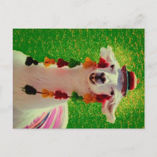 Llama in Chiloe-Chile withオーナメント 案内ポストカード (正面)