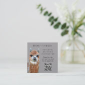 Llama Knitting Instructor QR code Business Card スクエア名刺 (スタンド正面)