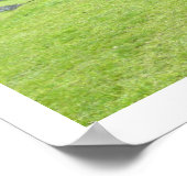 llama looks border ポスター (角)