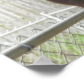 Llama posing for camera ポスター (角)