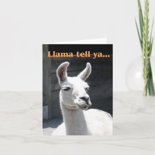 "Llama Tell Ya" 笑顔のラマ 無地ノートカード カード (正面)