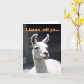 "Llama Tell Ya" 笑顔のラマ 無地ノートカード カード (黄色い花)