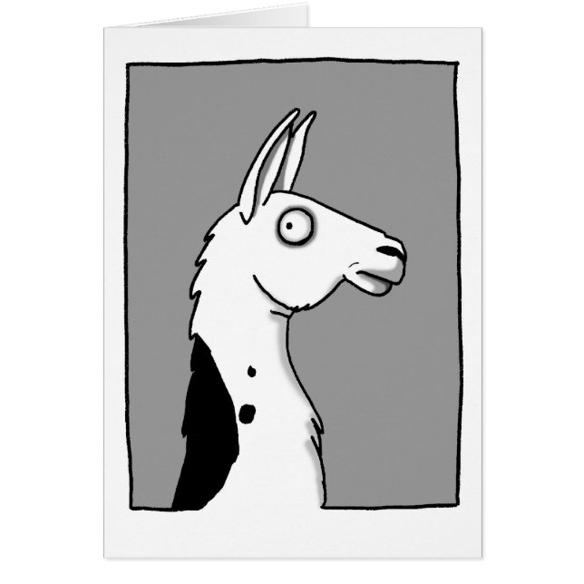 LlamaLlama (正面)