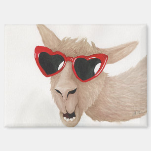 Llamas in Shades: 2月マグネット3.5"x2.5" マグネット